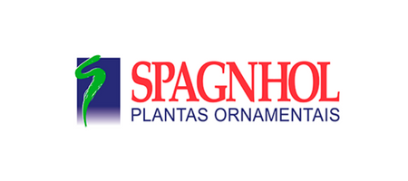 Spagnhol